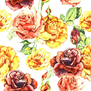 孤立的水彩风格野花玫瑰花朵图案