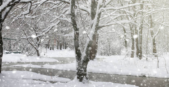 雪下的冬季公园。城市公园的暴风雪。公园 f