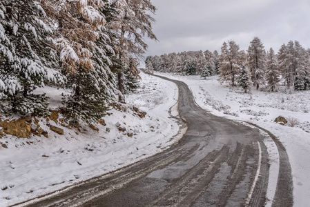 风景秀丽的秋景与第一场雪在泥土潮湿的道路上的山, 树木和森林在雪和霜的背景下的阴天空