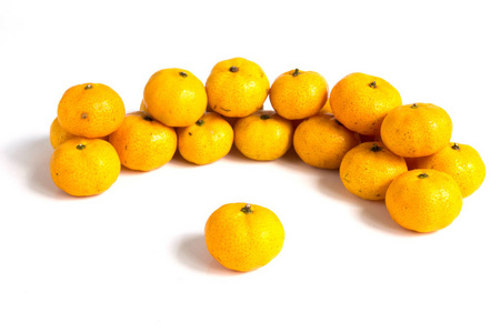 柑橙 柑 白色背景上的组