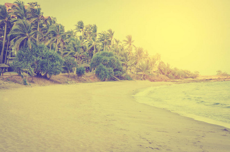 海海滩和椰子树木，夏天背景，复古色调