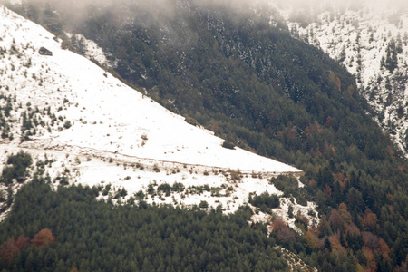 有雪和蓝天的风景