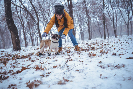 法国斗牛犬狗 playingin 女人寒冷的冬天