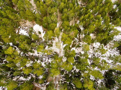 无人机图像。在多雪的冬天, 可以看到有田野和森林的农村地区的鸟图。在雪中纹理