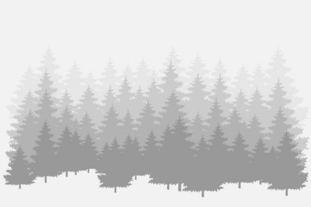 雾蒙蒙的松树林向量背景