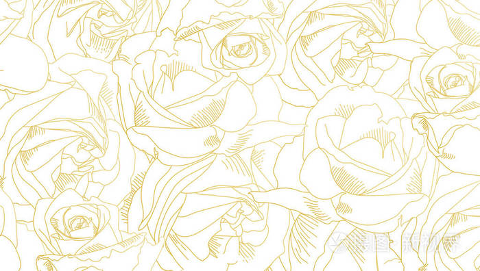 玫瑰花蕾轮廓图案与黄色和金色的花抽象艺术手绘浪漫背景向量例证eps