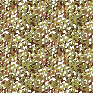 伪装网模式照片