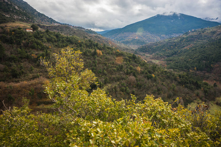 在卡拉夫里塔，珀罗普斯附近的山上有雾秋季景观