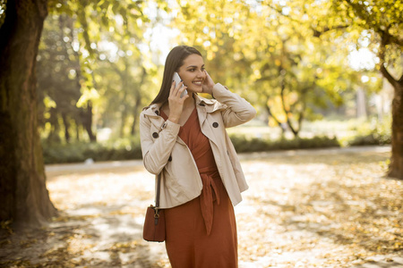 愉快的年轻妇女使用手机在秋季公园在美丽的一天