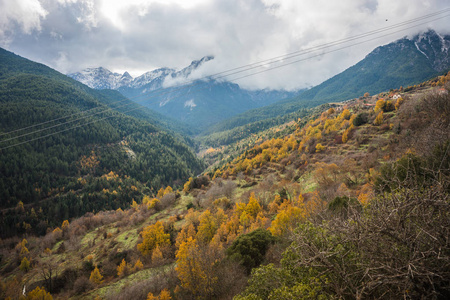 在卡拉夫里塔，珀罗普斯附近的山上有雾秋季景观