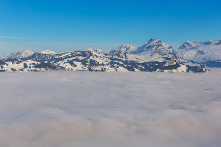 阿尔卑斯山顶从雾的海上升冬天看法从 Fronalpstock 山在 Schwyz 的瑞士小行政区