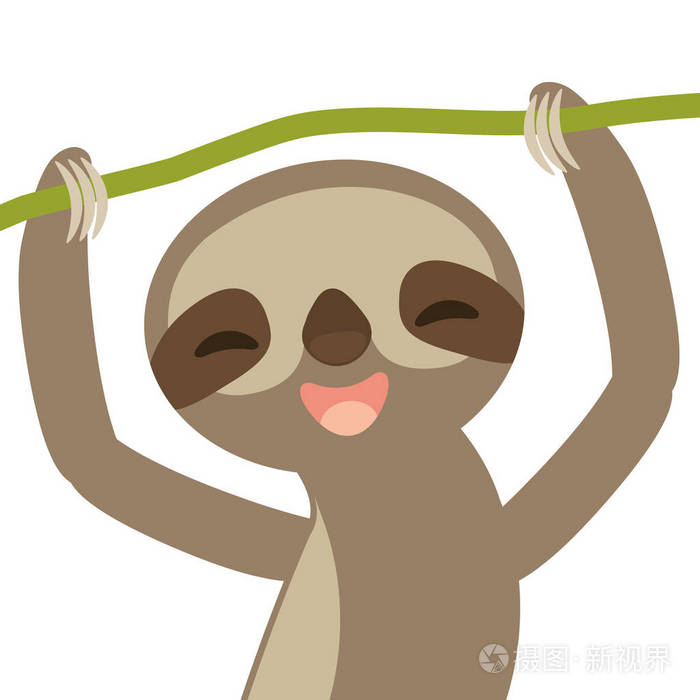 插画 矢量图 有趣和可爱的微笑三脚趾树懒在绿色的分支, 孤立的白色