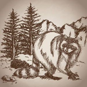 手绘图浣熊景观复古图片