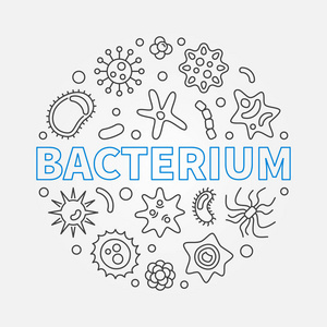 细菌圆向量微生物学概述例证