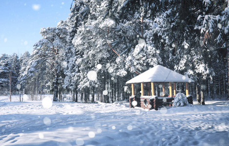 冬雪暴雪森林中的木质凉亭