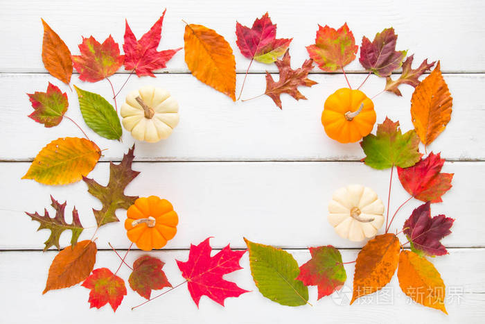 秋天的框架组成的五颜六色的树叶和南瓜
