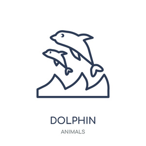 海豚图标。海豚线性符号设计从动物收藏。简单的大纲元素向量例证在白色背景