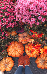 南瓜。秋天的南瓜和花朵的风景。人腿