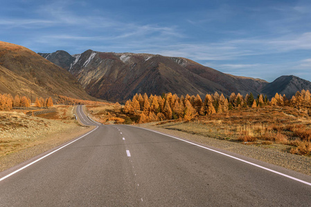 五颜六色的秋天景观与沥青道路在山上的第一个雪和金色的树在路边的蓝色天空和云彩的背景