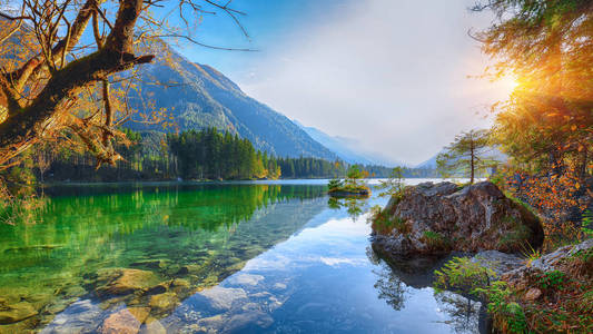 在 hintersee 湖绿松石水附近的树木的美丽场景.