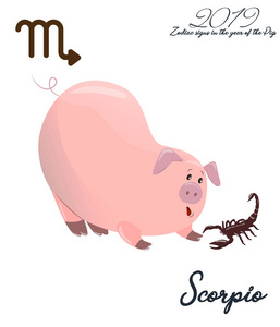星座天蝎座。2019年的猪。有爪子和尾巴的小猪。有趣的占星术可爱的动物。在动画片样式的向量例证。让果冻天蝎座
