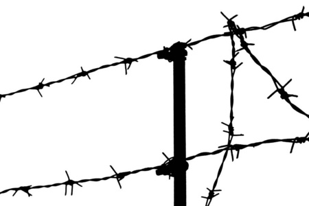 黑色剪影的铁丝网带刺的铁丝在白色背景照片