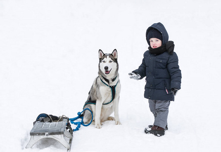 雪地里玩耍的小男孩和狗