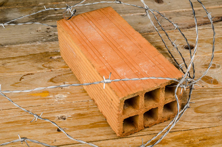 砖和铁丝网, 移民政策的概念