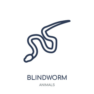 盲虫图标。盲目蠕虫线性符号设计从动物收藏。简单的大纲元素向量例证在白色背景