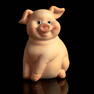 藏猪摄影图-藏猪图片大全-藏猪照片-摄图新视界