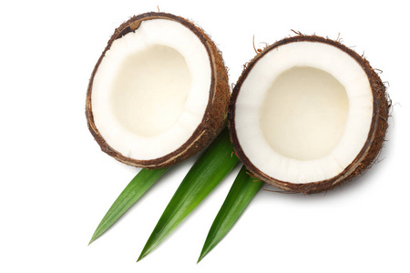 椰子与绿叶查出在白色背景。顶视图