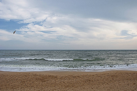 黑海海岸。波。海滩。海泡
