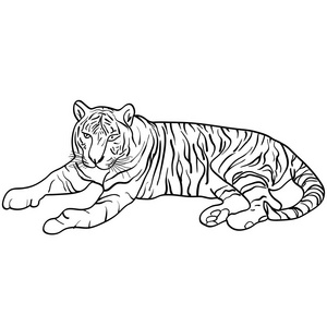 猫草绘图片-猫草绘素材-猫草绘插画-摄图新视界
