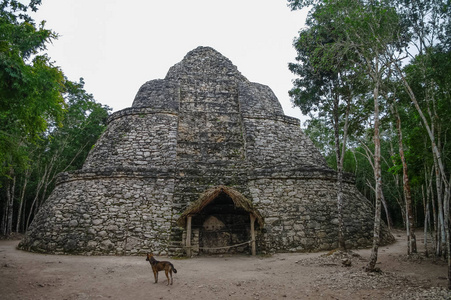 在 Coba 玛雅金字塔的废墟。墨西哥