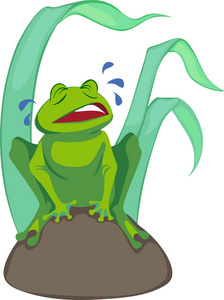 青蛙不高兴哭坐在一块岩石在沼泽里照片