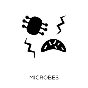 微生物图标。微生物符号设计从卫生收藏。简单的元素向量例证在白色背景