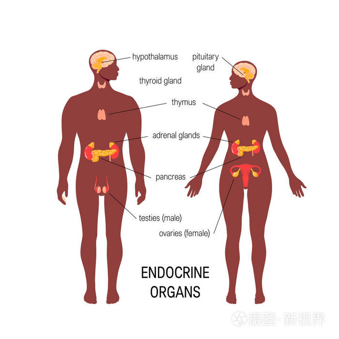 征兆卵巢大早衰怎么治疗_卵巢早衰了症状_卵巢早衰的8大征兆30岁