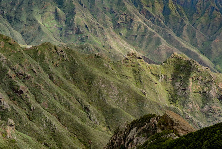 绿色山风景