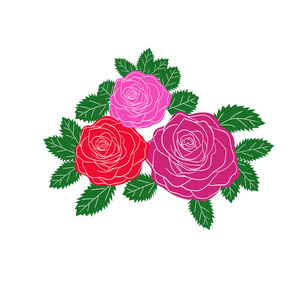 红色和粉色玫瑰。矢量插画