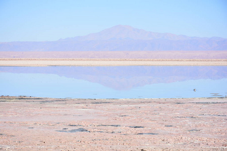 山水的智利阿塔卡马沙漠的咸水湖
