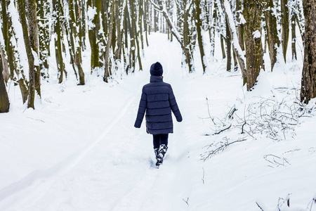 一个年轻的女孩走在一条下雪的森林小路上。单独与苛刻的自然