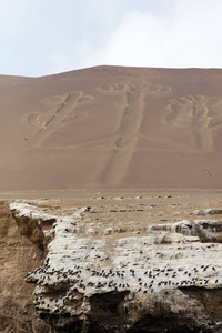 帕拉卡斯国家公园古代大型 geoglyph 烛台图