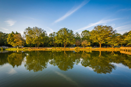 罗斯福威尔逊公园，北卡罗莱纳州戴维森的池塘