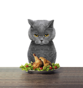 这只猫拒绝吃鸡照片