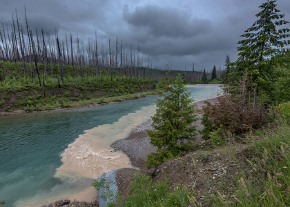 浑水流入清楚蓝色溪在下雨天照片
