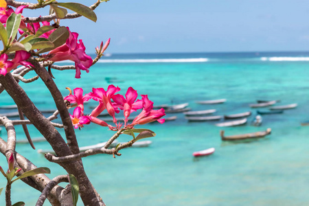 美丽的热带海洋景观, 亚洲花卉, 渔船的背景。印度尼西亚兰彭坎
