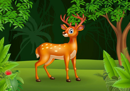 卡通鹿在丛林中照片