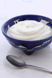 美味的酸奶冰淇淋在法国 俄罗斯 东部的欧洲，德国的烹饪和墨西哥美食传统的成分。在兵马俑或维尔工匠碗