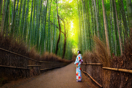 竹林里的岚山，日本