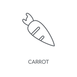 胡萝卜线性图标。胡萝卜概念笔画符号设计。薄的图形元素向量例证, 在白色背景上的轮廓样式, eps 10